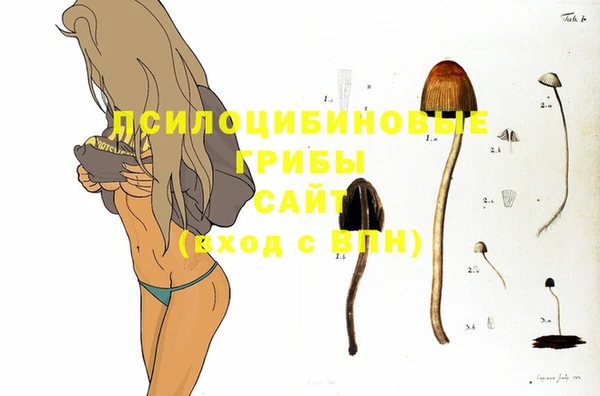 MDMA Premium VHQ Дмитриев