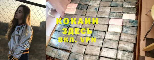 СК Дмитров