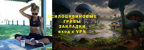 альфа пвп Дмитровск