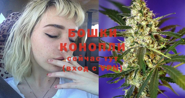 СК Дмитров