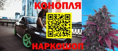 мяу мяу мука Бузулук