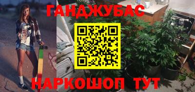 молекула духа Будённовск