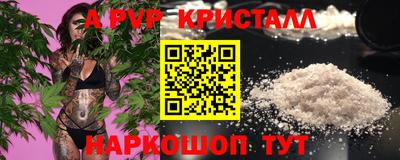 молекула духа Будённовск