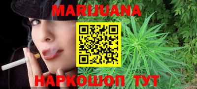 молекула духа Будённовск