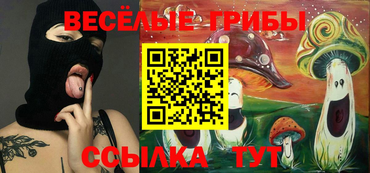 Псилоцибиновые грибы Cubensis Кашира