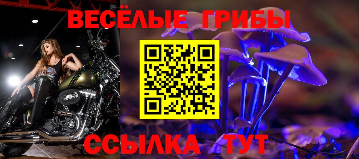 Кашира  Галлюциногенные грибы MAGIC MUSHROOMS  где можно купить наркотик  Вход с VPN  Псилоцибиновые грибы Cubensis 